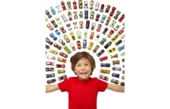 Hot Wheels Car Assorti 13 Hot Wheels Car Assorti -Speelgoed Promoties Winkel 0306009 060