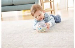 Fisher Price Waterbal -Speelgoed Promoties Winkel 0401114 120