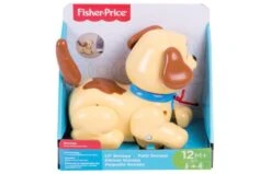 Fisher Price Hond Snoopy -Speelgoed Promoties Winkel 0403044 050