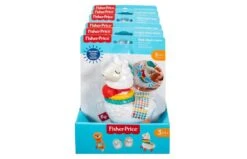 Fisher Price Sensorische Ontwikkeling -Speelgoed Promoties Winkel 2004549 040