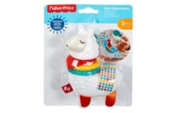 Fisher Price Sensorische Ontwikkeling -Speelgoed Promoties Winkel 2004549 060