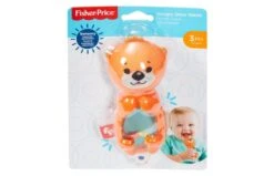Fisher Price Sensorische Ontwikkeling -Speelgoed Promoties Winkel 2004549 070