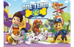 Clementoni Paw Patrol Puzzele 2x20 St -Speelgoed Promoties Winkel 2007639 090