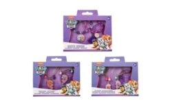 Paw Patrol Mix Accessoires Sets 3 Assorti