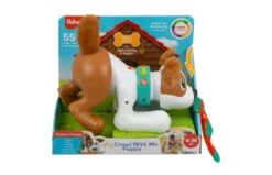 Fisher Price 123 Kruip Met Puppy -Speelgoed Promoties Winkel 2010240 040