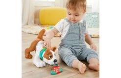 Fisher Price 123 Kruip Met Puppy -Speelgoed Promoties Winkel 2010240 130