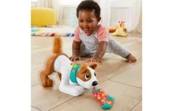 Fisher Price 123 Kruip Met Puppy -Speelgoed Promoties Winkel 2010240 140