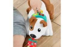 Fisher Price 123 Kruip Met Puppy -Speelgoed Promoties Winkel 2010240 150