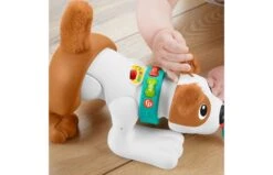 Fisher Price 123 Kruip Met Puppy -Speelgoed Promoties Winkel 2010240 170